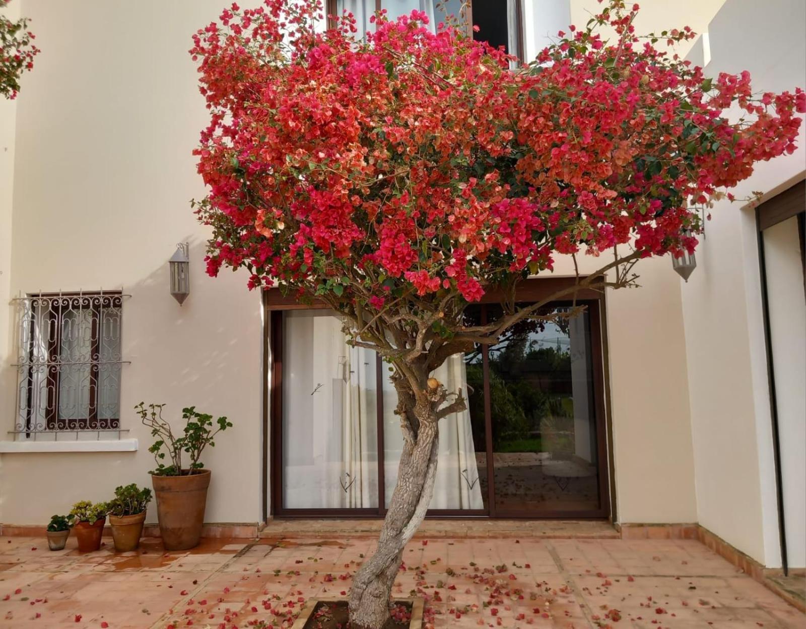 Hotel Dar Al Manar El Jadida Exterior foto